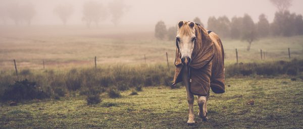 I Stock 1412159732 WINDOW