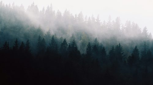 9df1c641316cdc54761e63b7a370b974de5750b0